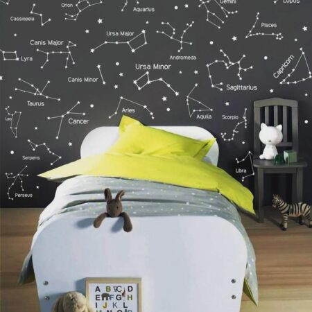 Zodiac Constellation Wall Decals Starry Celestial Decor