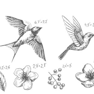 Hummingbird Birds Wall Decal