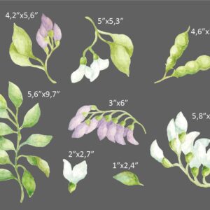 Botanical Leaves Wall Decals Flowers Stickers Acacia