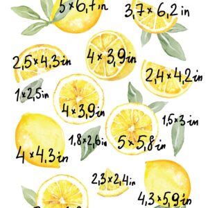 Lemon Wall Decals Watercolor Orange Stickers