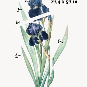 Large Iris Flower Wall Decal
