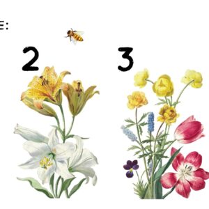 Flower wall Decal Greenery Stickers Colorful Floral