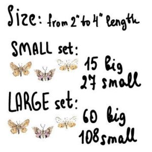 Butterfly Wall Decals