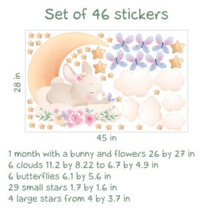 Bunny wall Decal Sleeping Moon Clouds Flowers Nursery