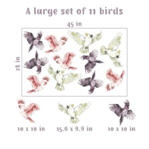 Tropical Parrots Wall Decals Bright Birds Stickers