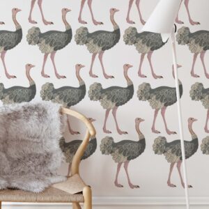 Ostrich wall decal Safari Bird Sticker