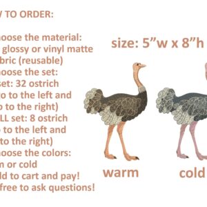 Ostrich wall decal Safari Bird Sticker
