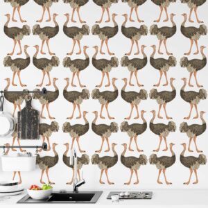 Ostrich wall decal Safari Bird Sticker