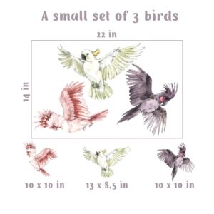 Tropical Parrots Wall Decals Bright Birds Stickers
