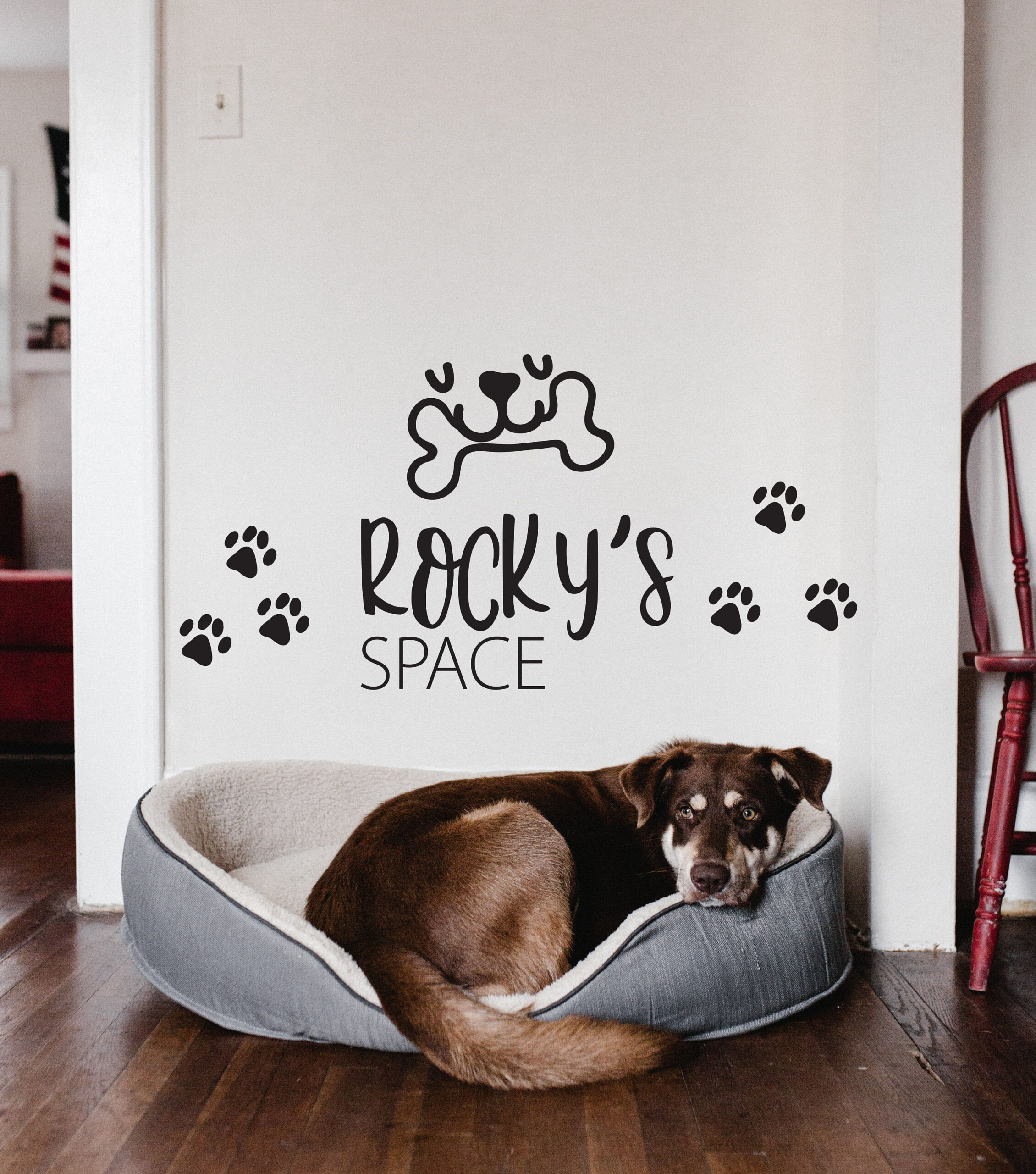 il fullxfull.4034554822 236y.jpg il fullxfull.4034554822 236y.jpg