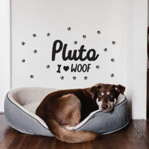 il fullxfull.4036439206 sf3q.jpg