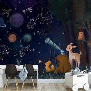 Constellation Wallpaper Peel and Stick Cosmos Decals