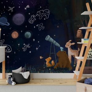 Constellation Wallpaper Peel and Stick Cosmos Decals