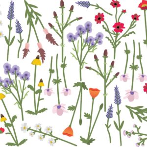 Watercolor Flower Greenery Wall Decals Wild Field Floral