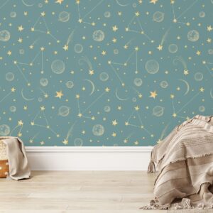 Cosmos Wallpaper – Peel and Stick Starry Night Sky