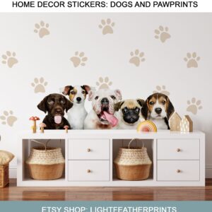 il fullxfull.6002385161 p8k9.jpg