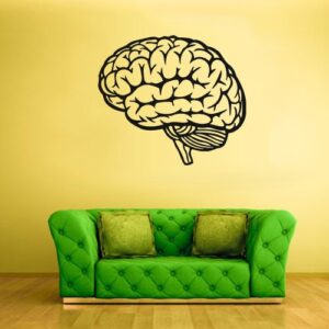 brain school classroom decoration wall decal on white wall