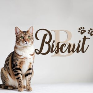 pet cat sign custom pawprint personalized wall decal — full view
