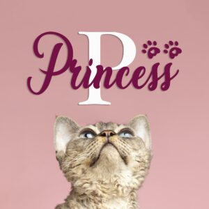 cat name sign custom pawprint personalized wall decal — full view